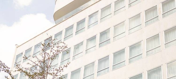 墨西哥城蒙德里安康德萨酒店(Mondrian Mexico City Condesa)图片