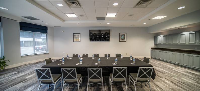 罗切斯特市区希尔顿花园酒店(Hilton Garden Inn Rochester Downtown)图片