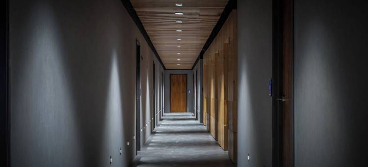 墨西哥城蒙德里安康德萨酒店(Mondrian Mexico City Condesa)图片