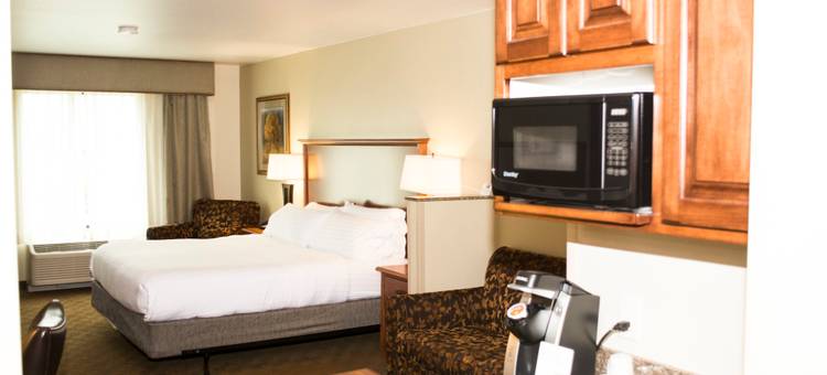智选假日套房酒店梅森城(Holiday Inn Express & Suites MASON CITY by IHG)图片