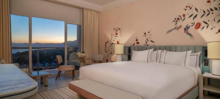 唐卡尔洛斯水疗度假村(Don Carlos Marbella)图片