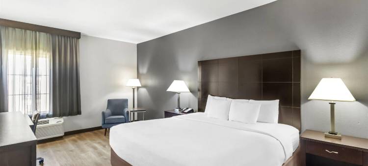 休斯顿能源走廊拉昆塔温德姆套房酒店(La Quinta Inn & Suites by Wyndham Houston Energy Corridor)图片