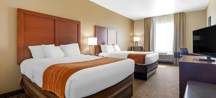 舒适酒店-近UNT(Comfort Inn Near UNT)图片