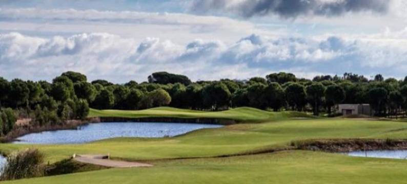 Sunny Terrace Near Marbella图片