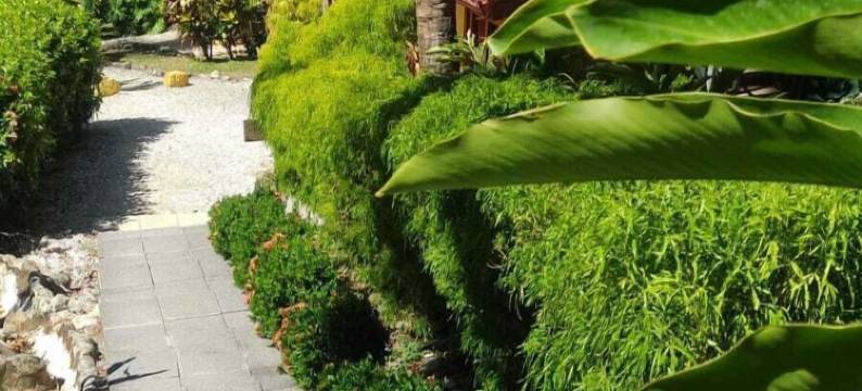 伊森西亚酒店及别墅(Esencia Hotel and Villas)图片