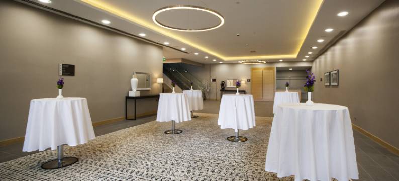 埃尔津詹希尔顿花园酒店(Hilton Garden Inn  Erzincan)图片