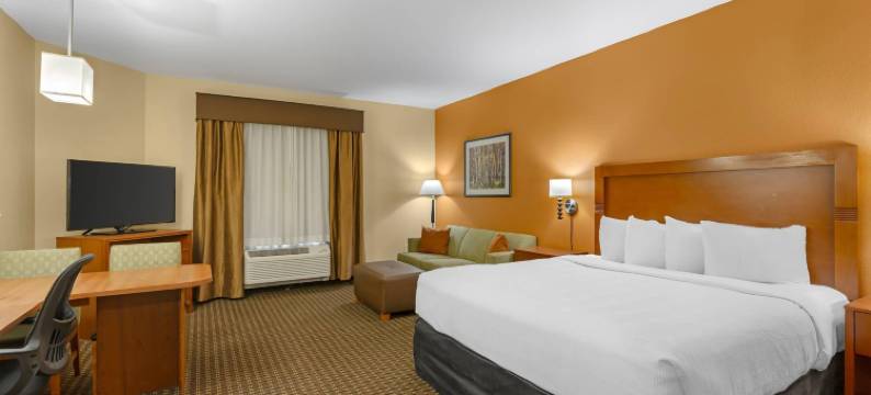 泰奥加美茵斯坦套房酒店(MainStay Suites Tioga)图片