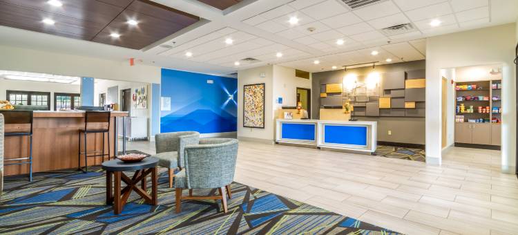 智选假日套房酒店赫恩(Holiday Inn Express & Suites Hearne)图片