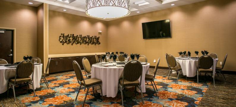 假日套房酒店-查塔努加市区(Holiday Inn & Suites CHATTANOOGA DOWNTOWN by IHG)图片