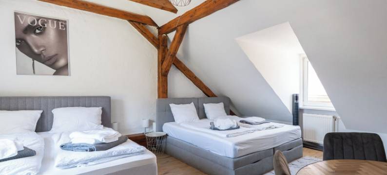 COY 公寓莱奥本 - 舒适住宿与智能工作(Coy Apartments Leoben - Stay Comfortable, Work Smart)图片