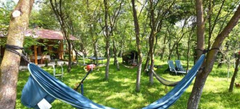 Casa Grai Moroșănesc图片