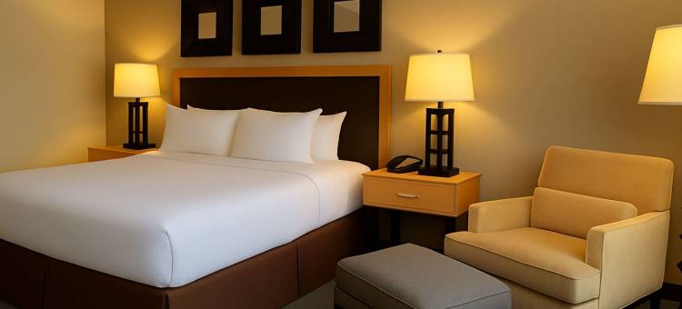 芝加哥希尔顿逸林酒店-阿灵顿高地(DoubleTree by Hilton Hotel Chicago - Arlington Heights)图片