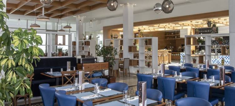 Amadria公园海滩酒店 Jure(Amadria Park Beach Hotel Jure)图片