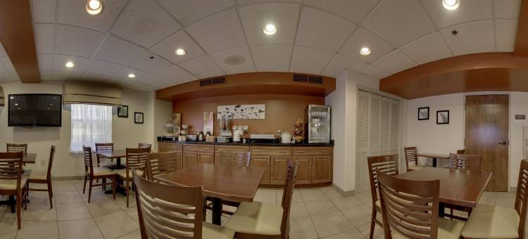 芒特普林森查尔斯顿舒眠酒店(Sleep Inn Mt. Pleasant - Charleston)图片