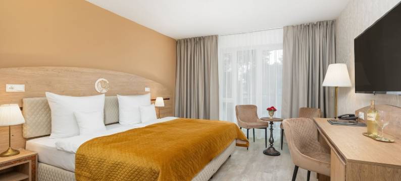 Juvena健康水疗酒店(Hotel Juvena Wellness & Spa)图片