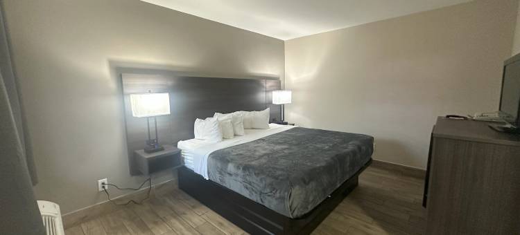 圣彼得斯堡伊克诺旅馆(Econo Lodge St Petersburg Central)图片