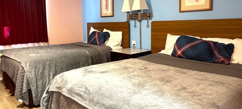 特拉维尔旅馆(Travel Inn Downtown La)图片