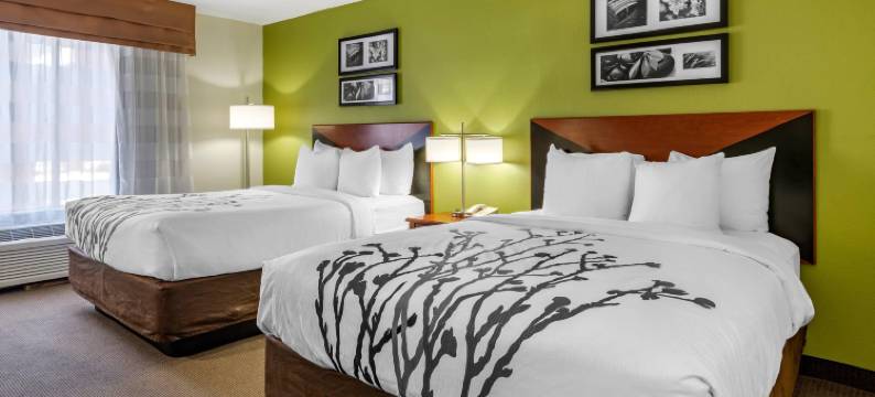 舒眠套房酒店(Sleep Inn & Suites Stockbridge Atlanta South)图片