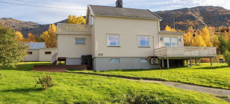 Attme 有(Attme Have)图片