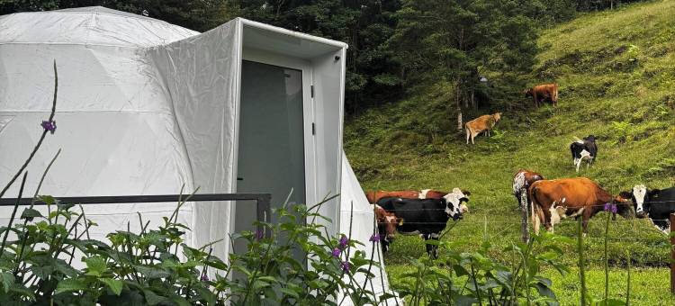 埃皮菲塔蒙特贝尔德帐篷酒店(Epifita, Bosque Nuboso Glamping Monteverde)图片