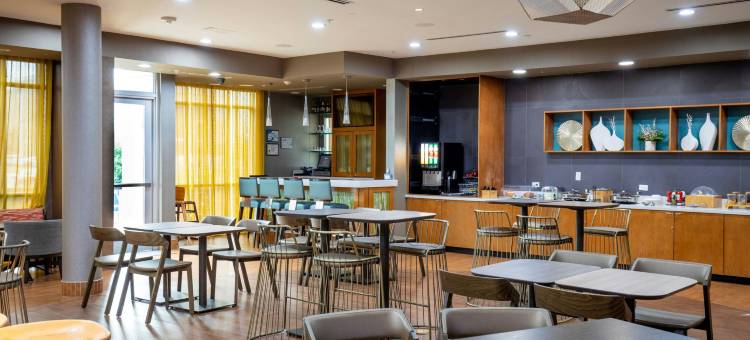 巴吞鲁日冈萨雷斯SpringHill Suites酒店(SpringHill Suites Baton Rouge Gonzales)图片