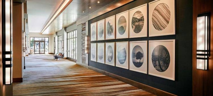 欧文斯贝特鲁姆万豪酒店(Marriott Irvine Spectrum)图片