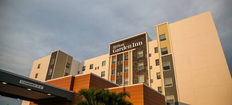坦帕桑科斯特大道希尔顿花园酒店(Hilton Garden Inn Tampa Suncoast Parkway)图片