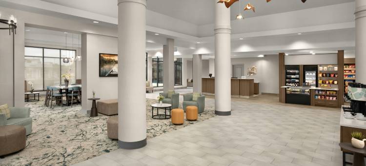 达拉斯李维斯维尔希尔顿花园酒店(Hilton Garden Inn Dallas Lewisville)图片