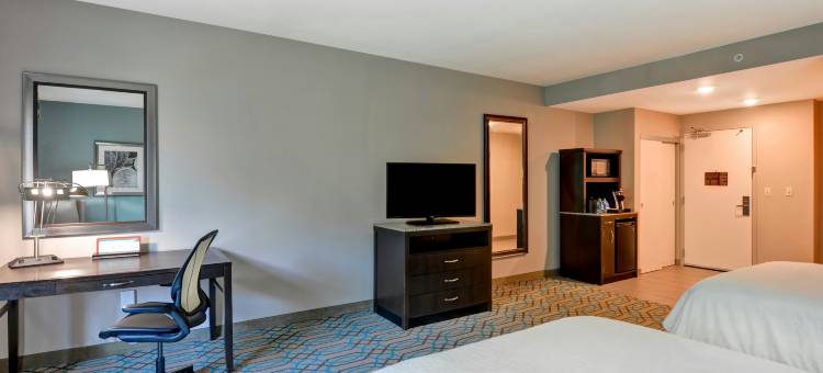 西小石城希尔顿花园酒店(Hilton Garden Inn West Little Rock)图片