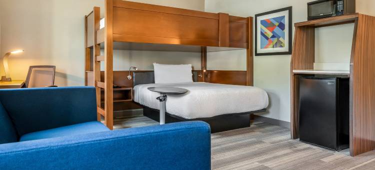 智选假日酒店-新奥尔良艺术区(Holiday Inn Express NEW ORLEANS - ARTS DISTRICT by IHG)图片