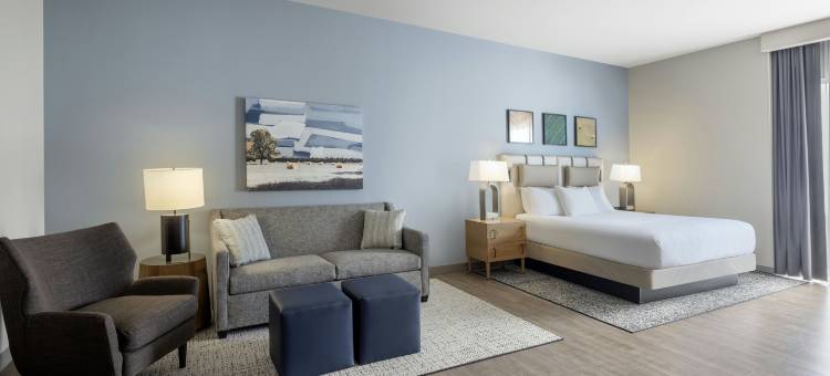 希尔顿保龄球绿色大使套房(Embassy Suites by Hilton Bowling Green)图片