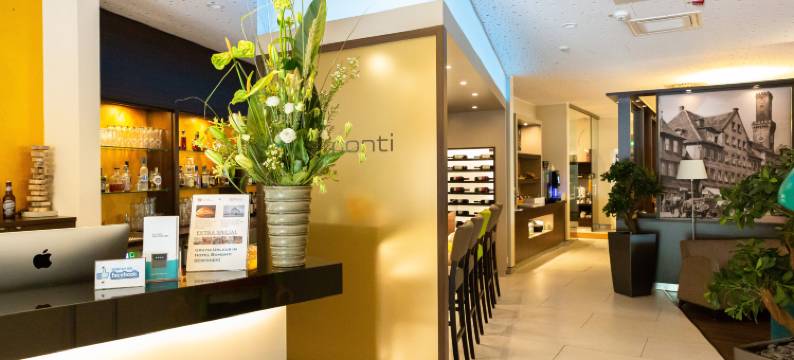 西纽伦堡波蒙提酒店(hotel bomonti Nürnberg West)图片