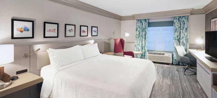芝加哥北岸/埃文斯顿希尔顿花园酒店(Hilton Garden Inn Chicago North Shore/Evanston)图片