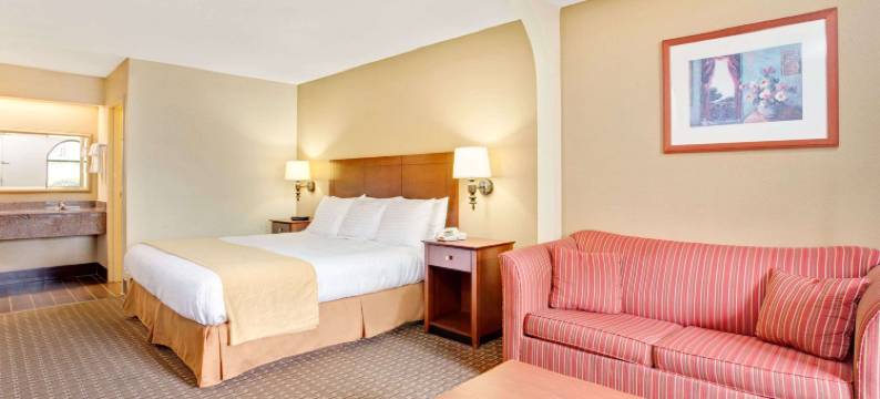 斯托克布里奇南亚特兰大戴斯套房酒店(Days Inn & Suites by Wyndham Stockbridge South Atlanta)图片