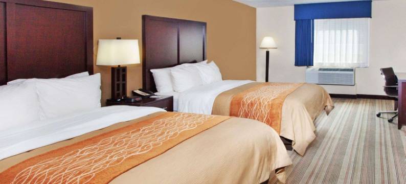 舒适酒店(Comfort Inn)图片