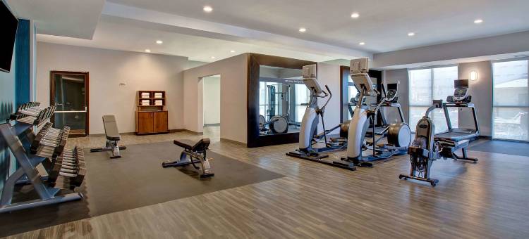 博格希尔顿欢朋旅馆&套房酒店(Hampton Inn & Suites Borger)图片