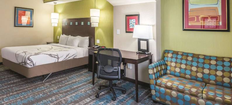 达拉斯大草原城南部拉昆塔温德姆套房酒店(La Quinta Inn & Suites by Wyndham Dallas Grand Prairie South)图片