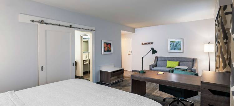 斯内尔维尔-亚特兰大东北希尔顿欢朋套房酒店(Hampton Inn & Suites Snellville Atlanta NE)图片