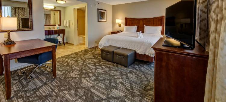 斯图尔特北欢朋套房酒店(Hampton Inn & Suites Stuart-North)图片