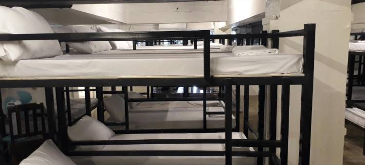 多米特尔斯 圣托马斯大学(Dormitelsph UST)图片