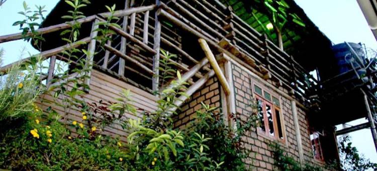 恩德培大猩猩巢酒店(Hotel Gorilla's Nest Entebbe)图片