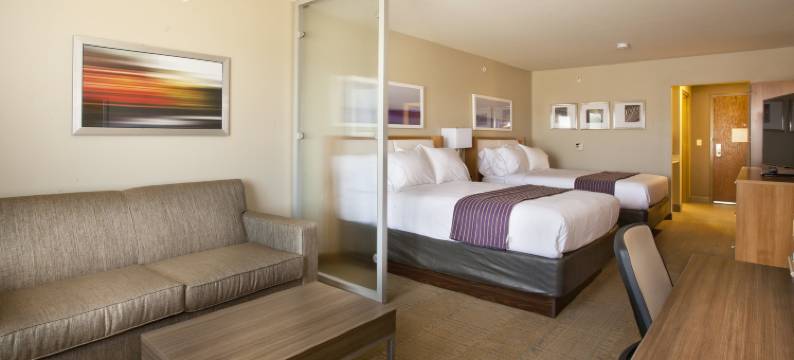 智选假日套房酒店南温泉城(Holiday Inn Express & Suites HOT SPRINGS by IHG)图片