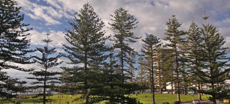 湾景公寓(Bayview Apartments Glenelg)图片