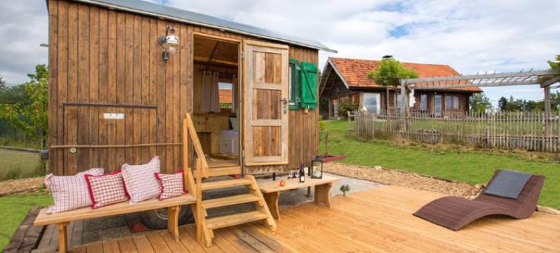 维德曼络温酒店(Widmann's Löwen)图片