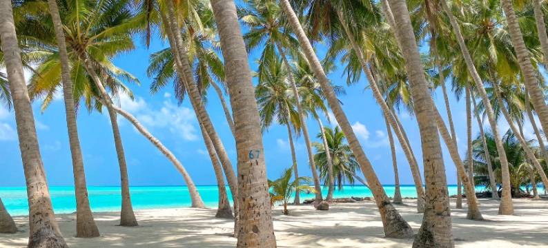 卡普岛别墅(Captal Island Villa)图片