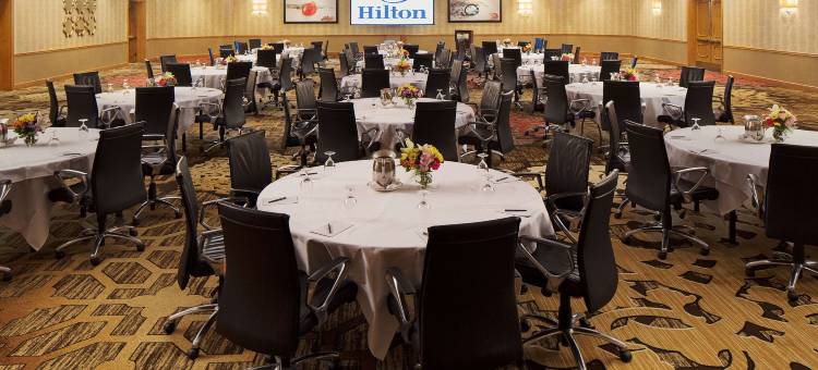 芝加哥奥黑尔罗斯蒙特希尔顿酒店(Hilton Rosemont Chicago O'Hare)图片