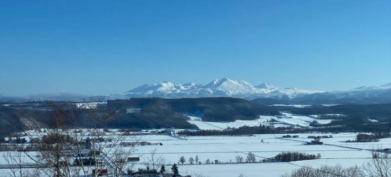 Accommodation limited to one group图片