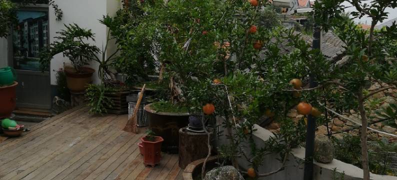 泰安六间房客栈图片