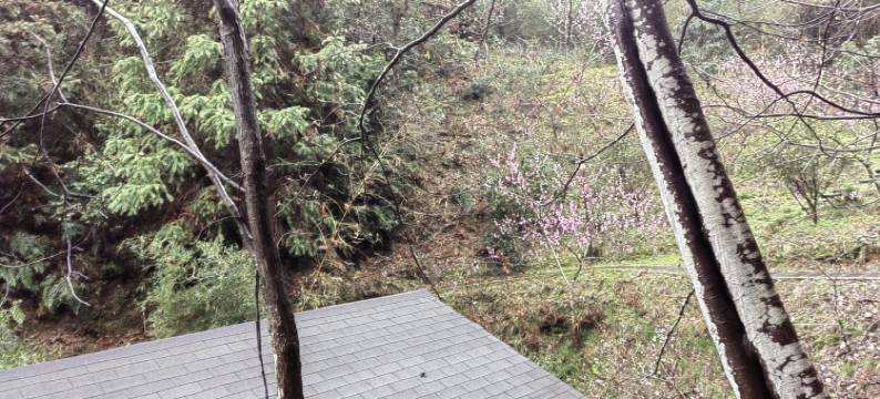 婺源半隐山居民宿(武长段分店)图片