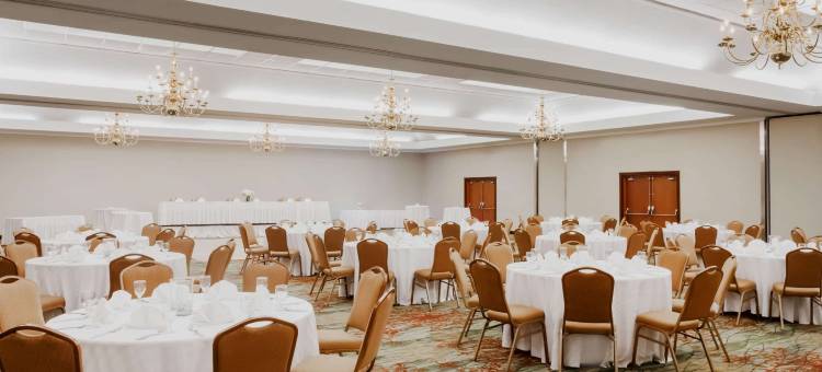 温德姆花园酒店-奥斯汀(Wyndham Garden Austin)图片